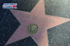 Walk Of Fame, Los Angeles, California (2)